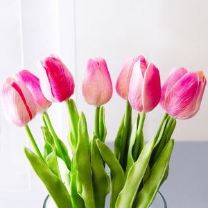 Hoa tulip hồng