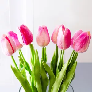 Hoa tulip hồng