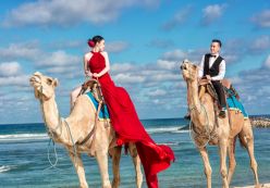 Cặp đôi Sài Gòn 'đập lợn tiết kiệm' chụp ảnh cưới trên lưng lạc đà ở Bali