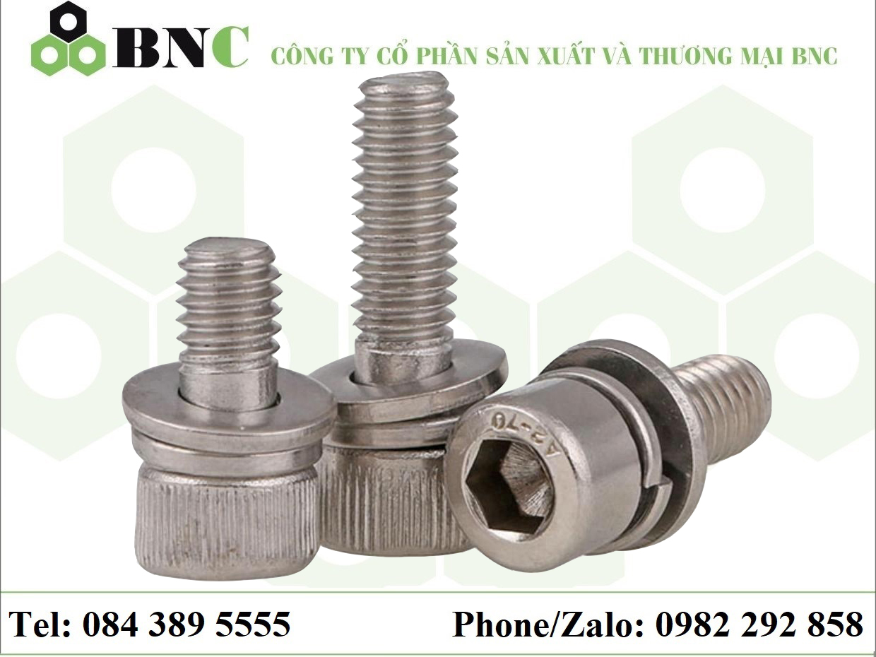 BU LÔNG LỤC GIÁC CHIM ĐẦU TRỤ INOX 304 / INOX 316