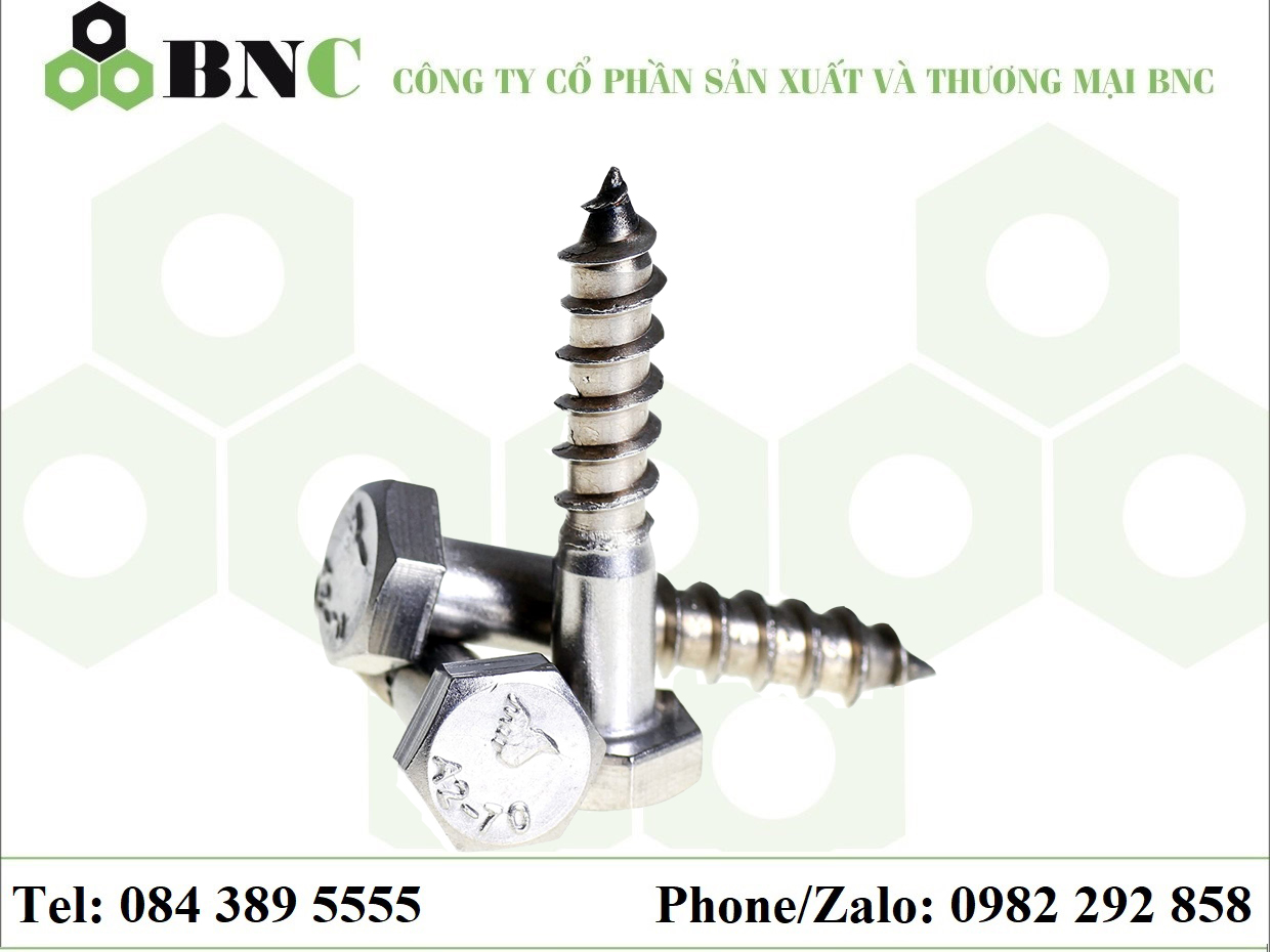 VIT PHONG INOX 304 / INOX 316