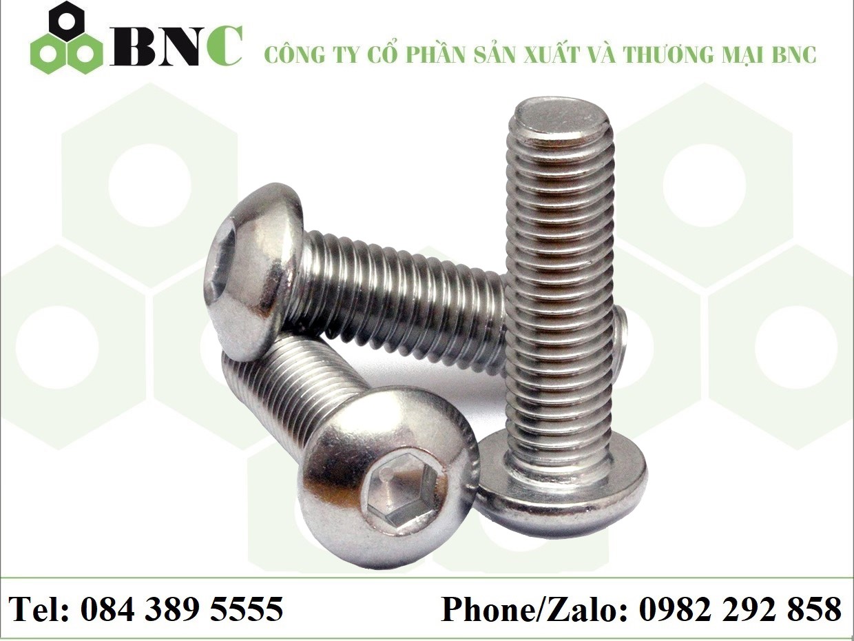 BU LÔNG LỤC GIÁC CHÌM ĐẦU MO INOX 304 / INOX 316