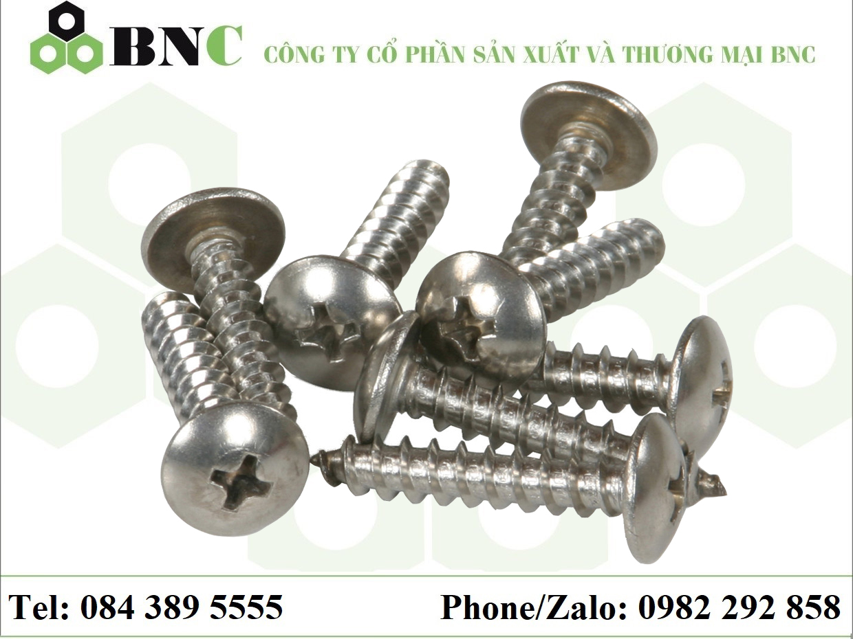 VÍT ĐẦU DÙ REN GỖ INOX 304 / INOX 316