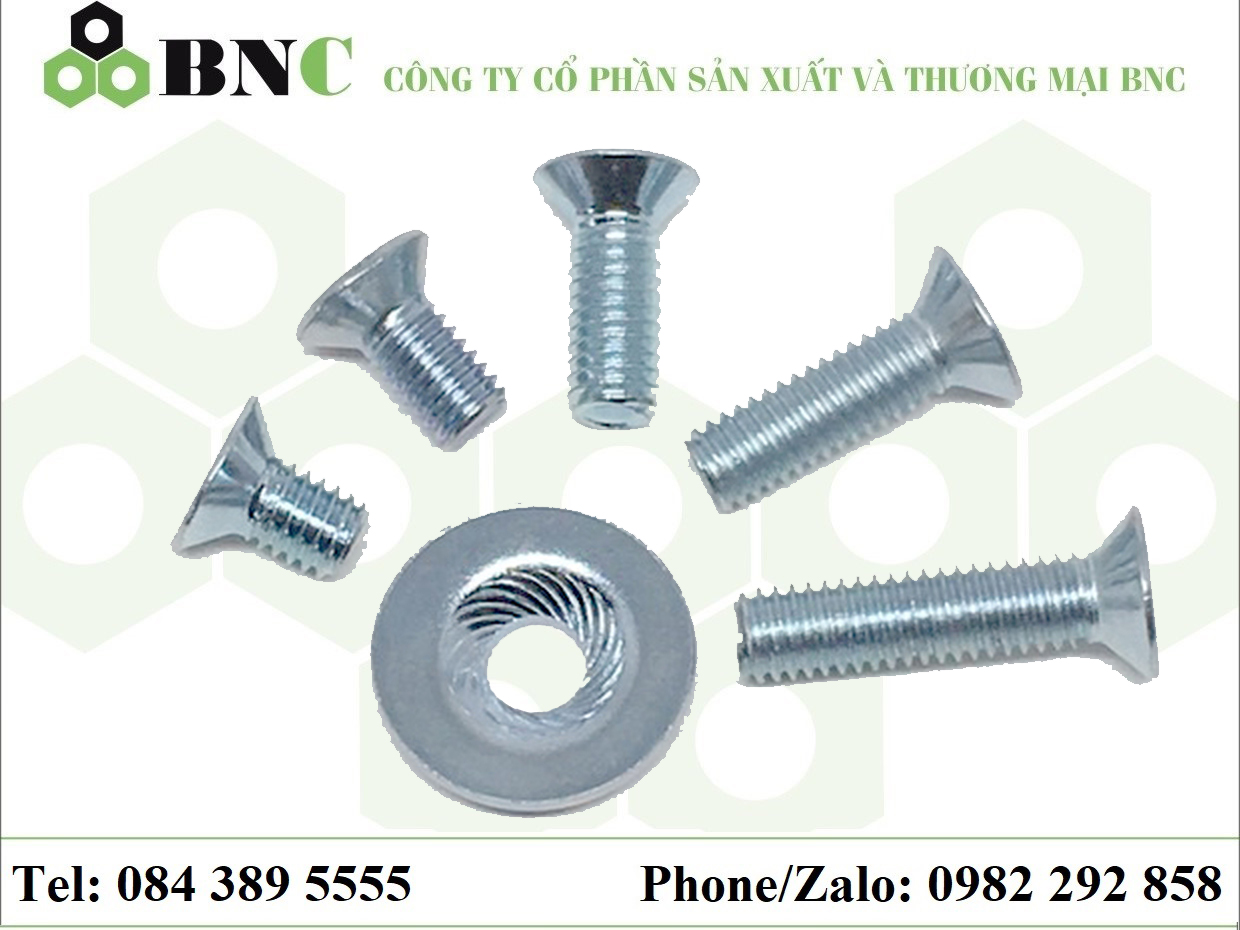 VÍT ĐẦU BẰNG REN BU LÔNG