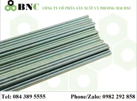 TY REN/ THANH REN