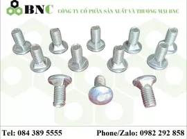 ỐC KỆ