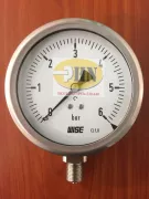 Đồng hồ Wise F63 6kg