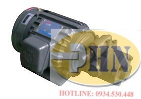 Bơm dầu bôi trơn 120WRAB-13AY-3P