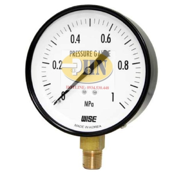 Đồng hồ khí WISE P110
