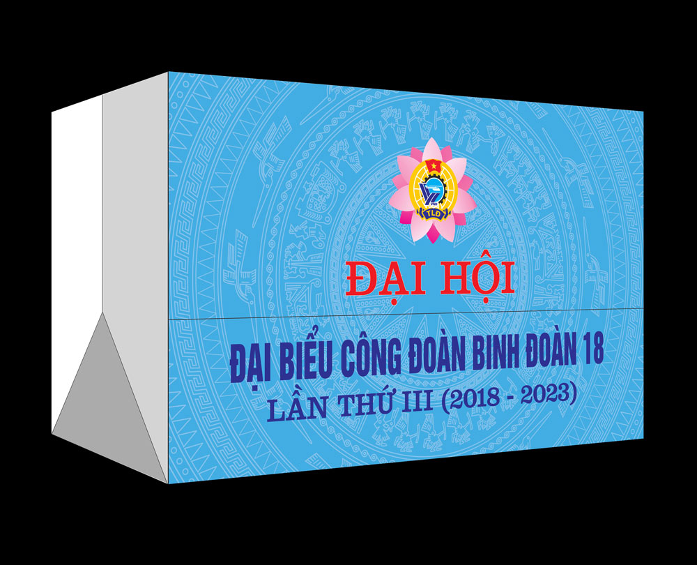 IN TÚI QUÀ ĐẠI BIỂU