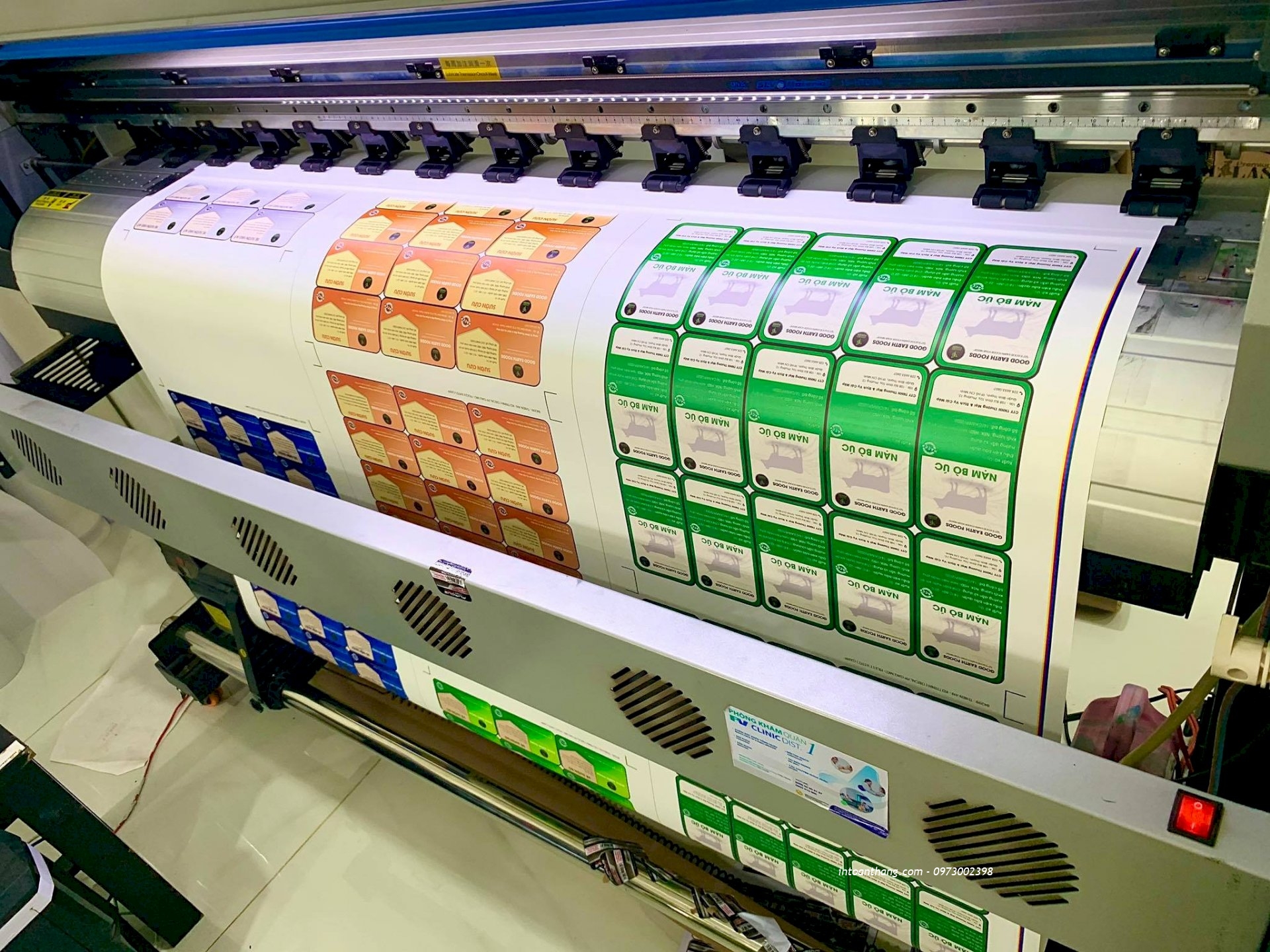 126029045_1860400734110919_6210342175854017371_n