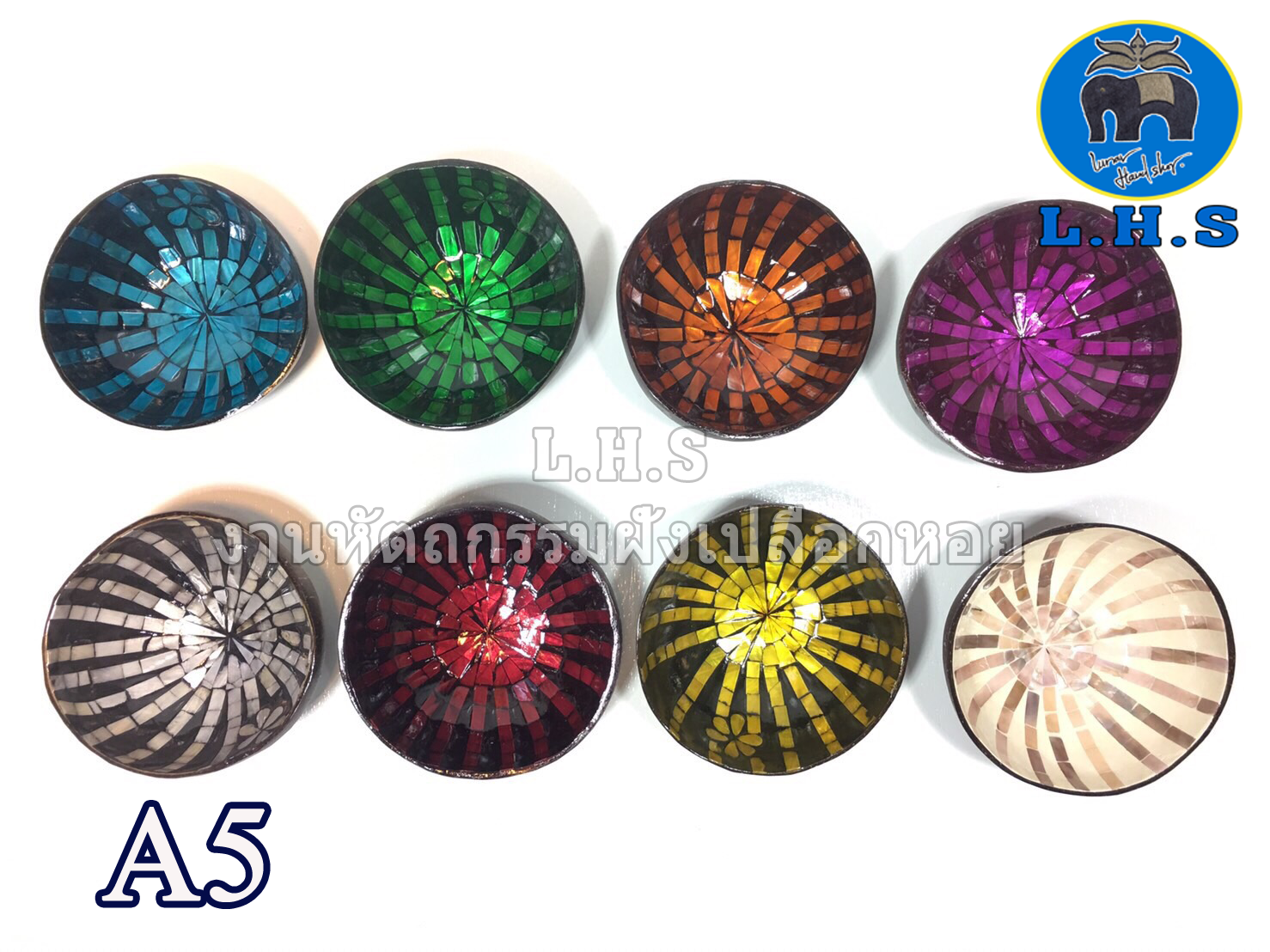 SEA SHELL WITH LINE STYLE