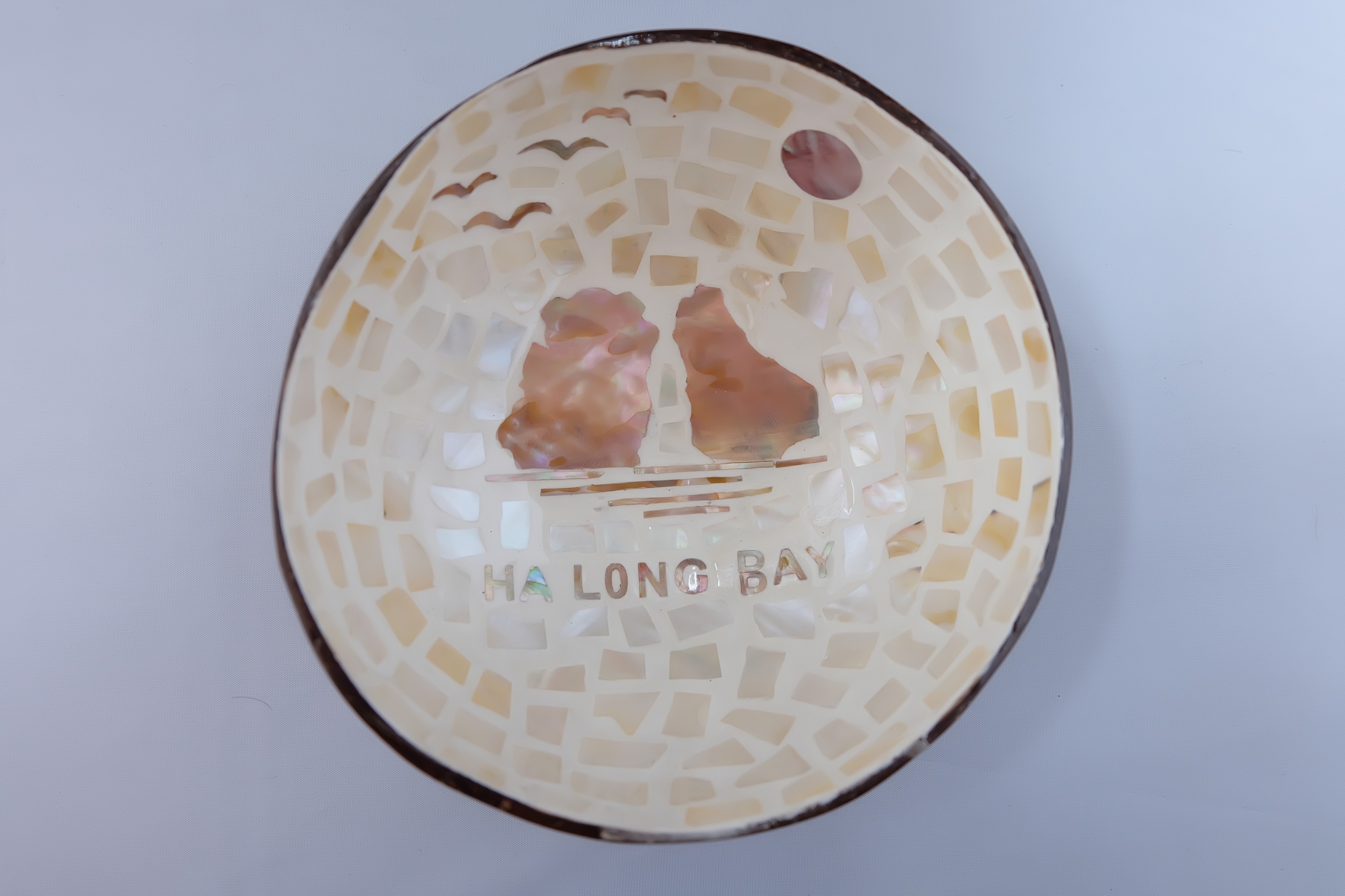 HA LONG BAY VIETNAM SEA SHELL