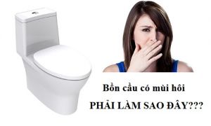 TẠI SAO BỒN CẦU BỊ BỐC MÙI? GIẢI PHÁP XỬ LÝ VẤN ĐỀ ĐÓ.