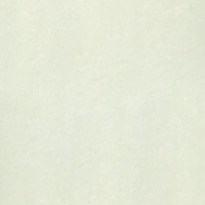 gạch taicera 60x60 P67703N