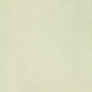 gạch taicera 60x60 P67313N