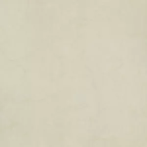 gạch taicera 60x60 P67594N