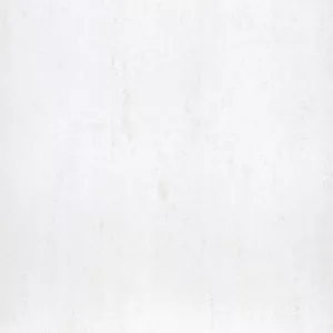 gạch taicera 40x40 G48925ND