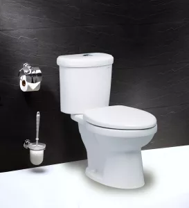 Bàn Cầu Hai Khối (Nắp Êm) - CT1338 ( CTS1338)