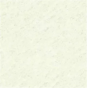 12.600600.50311