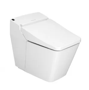 BÀN CẦU 1 KHỐI WP-1806
