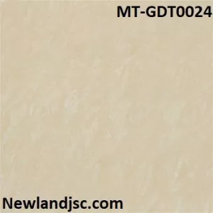 Gạch lát nền Đồng Tâm KT 80x80cm MT-GDT0024