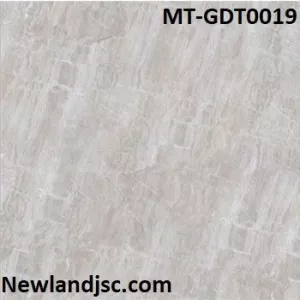 Gạch lát nền Đồng Tâm KT 80x80cm MT-GDT0019