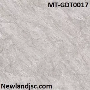 Gạch lát nền Đồng Tâm KT 80x80cm MT-GDT0017