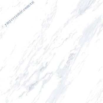 Gach-Y-My-80x80-P88023R-a