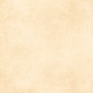 Gạch Ý Mỹ 80x80 P85002