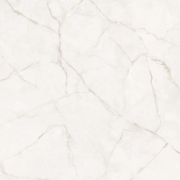 Gach-Y-My-80x80-P88020C-anhhao