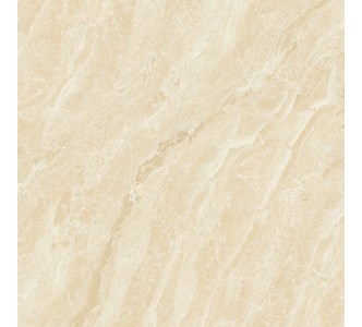 Gach-Y-My-80x80-N88012C-