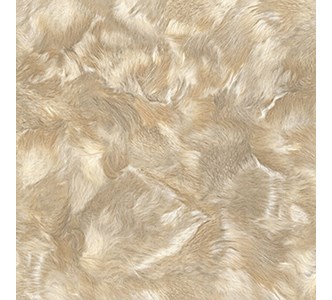 Gach-Y-My-80x80-TD88812-