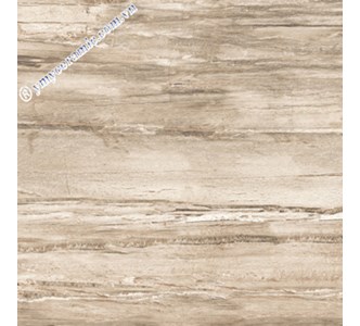 Gach-Y-My-60x60-N68023-