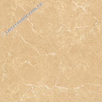 Gach-Y-My-60x60-N68030C-