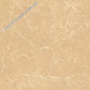 Gạch Ý Mỹ 60x60 N68030C