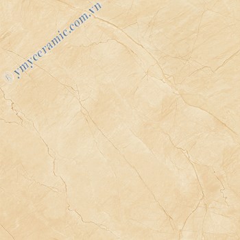 Gach-Y-My-60x60-N68031C-1