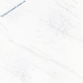 Gach-Y-My-60x60-P68061-