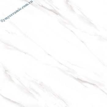 Gach-Y-My-60x60-P68063-