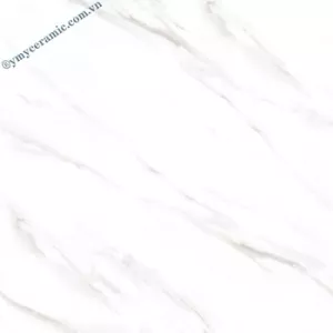 Gạch Ý Mỹ 60x60 P68063