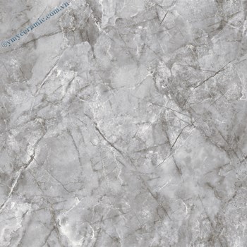 Gach-Y-My-60x60-P68066-