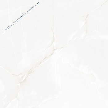 Gach-Y-My-60x60-P68068C-