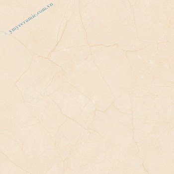 Gạch Ý Mỹ 60x60 P68069C