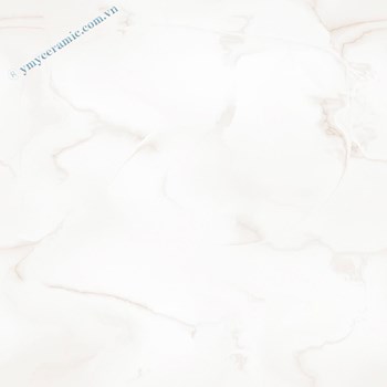 Gach-Y-My-60x60-P68070C-