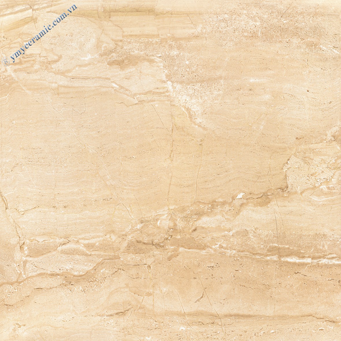 Gach-Y-My-60x60-P68077R-