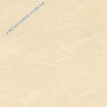 Gach-Y-My-60x60-P68078-