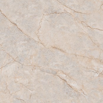 Gach-Y-My-60x60-P68081C-