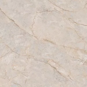 Gạch Ý Mỹ 60x60 P68081C