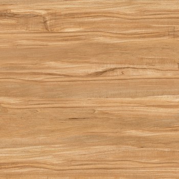 Gach-Y-My-60x60-P68086-