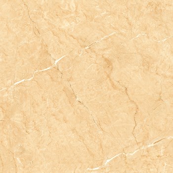 Gach-Y-My-60x60-P68088C-